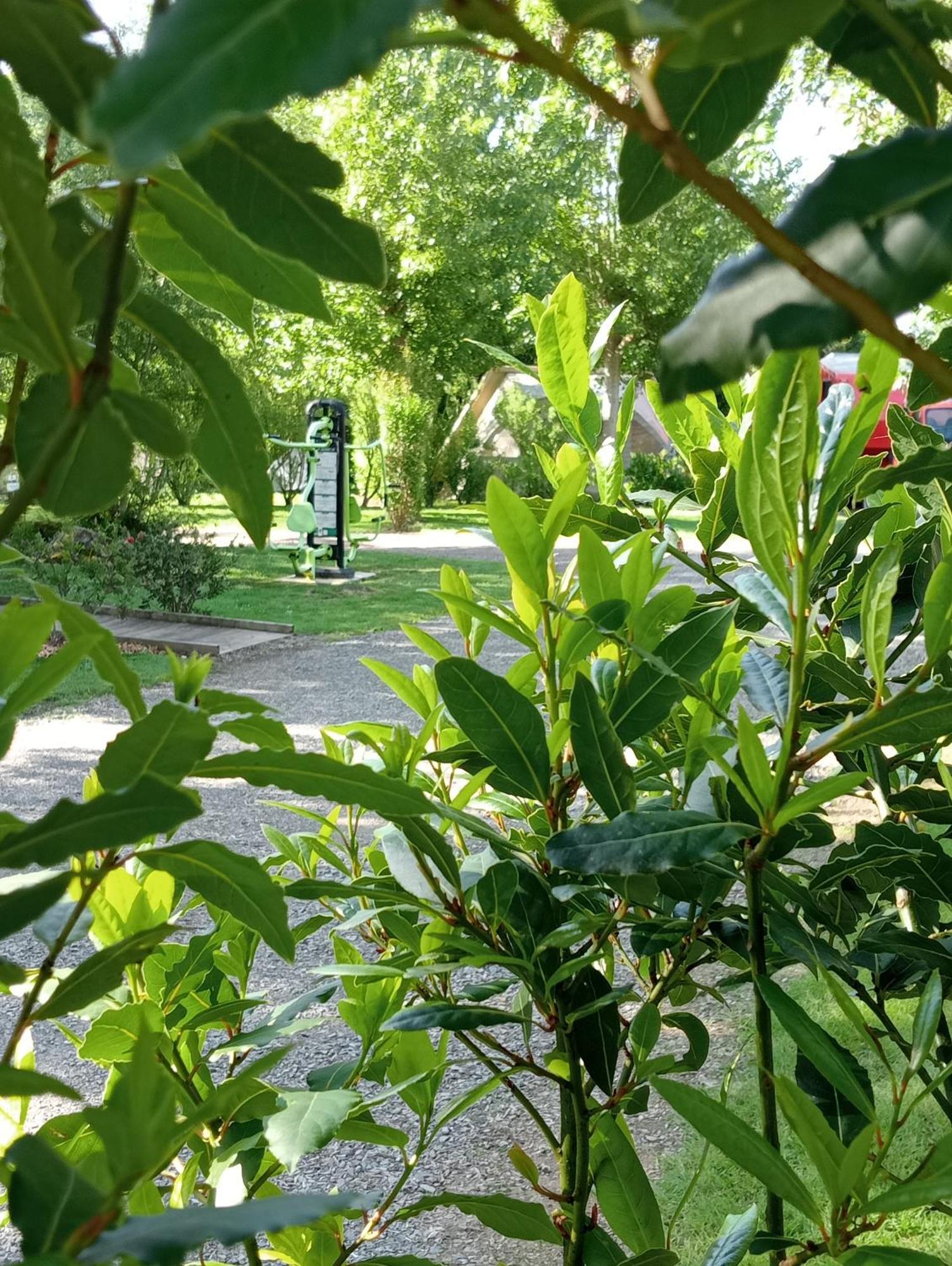 Camping Les Mancellieres Avrillé Zewnętrze zdjęcie