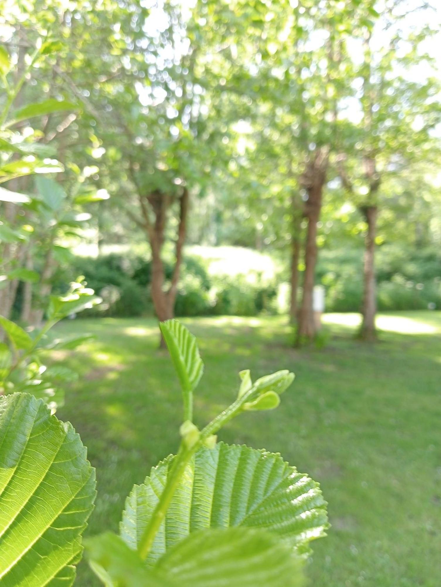 Camping Les Mancellieres Avrillé Zewnętrze zdjęcie