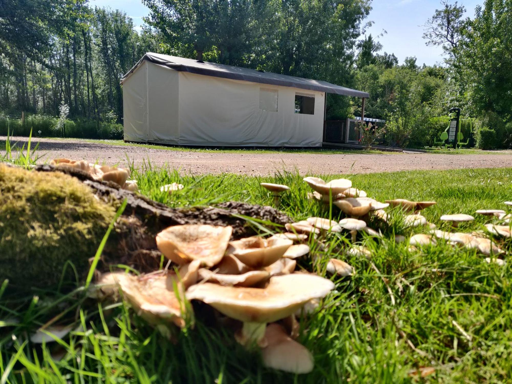 Camping Les Mancellieres Avrillé Zewnętrze zdjęcie