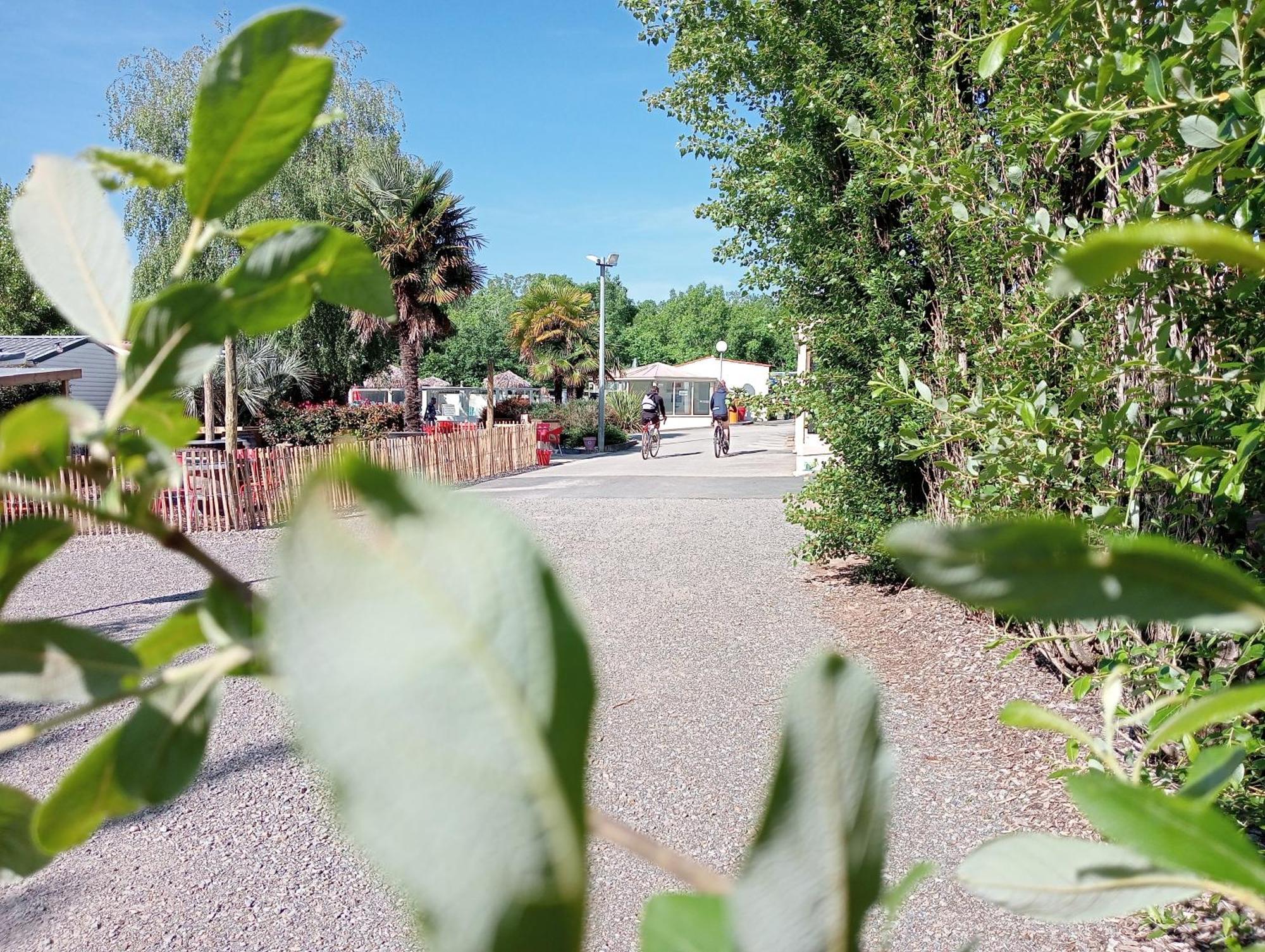 Camping Les Mancellieres Avrillé Zewnętrze zdjęcie